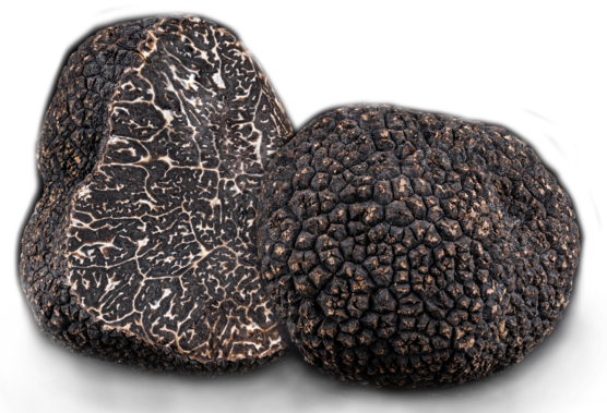 Svart vintertryffel (Tuber melanosporum vitt)